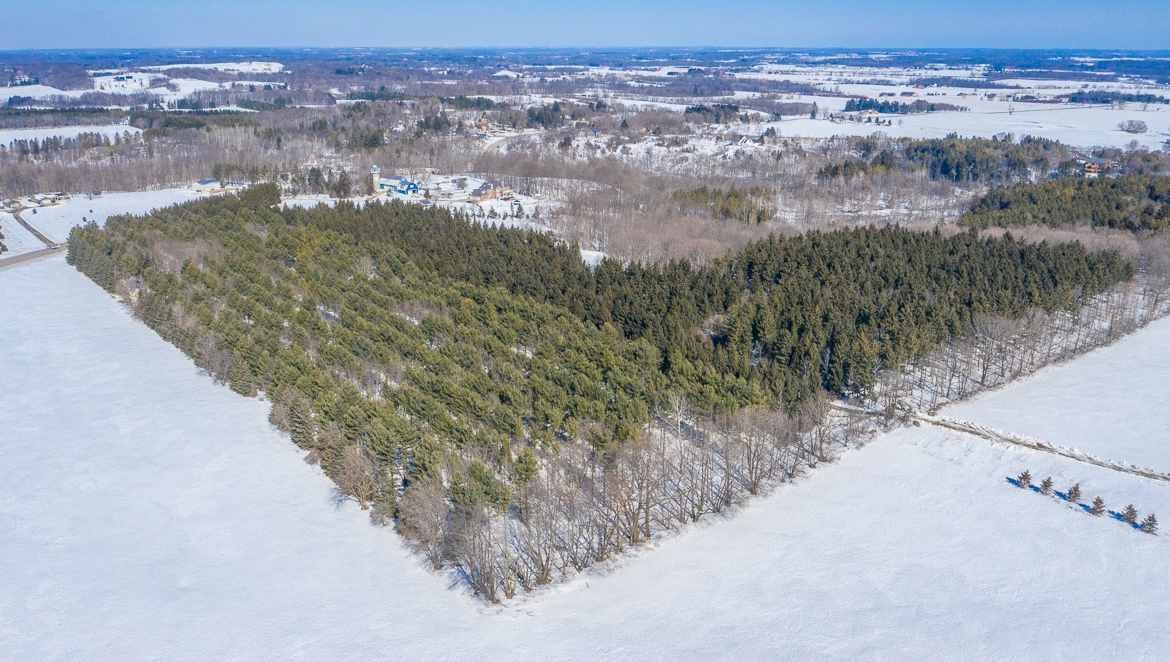 cedar creek estates