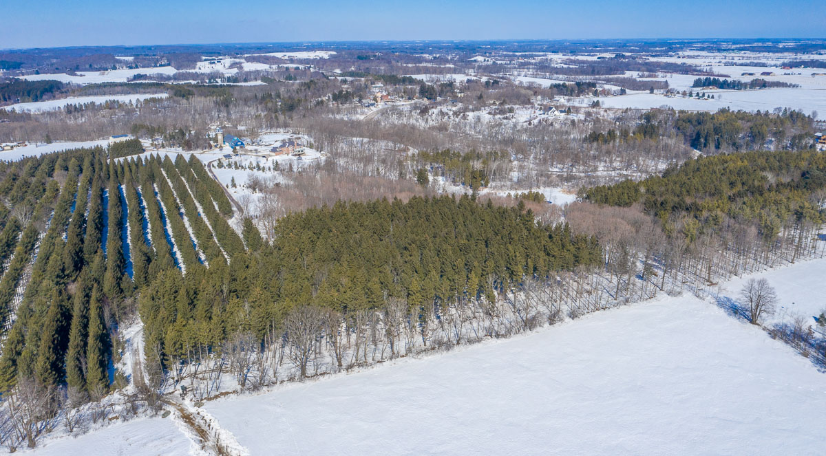 Lot 1-7 facing north
