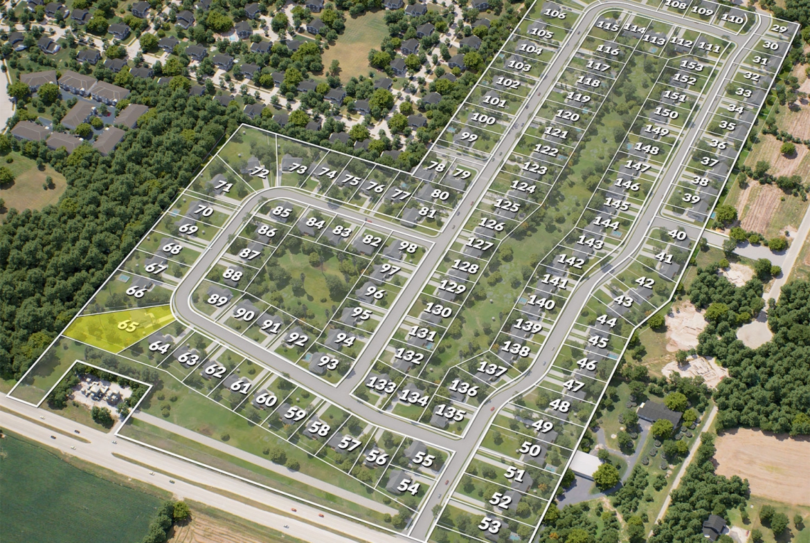 Lot 65