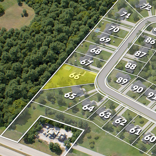 Lot 66
